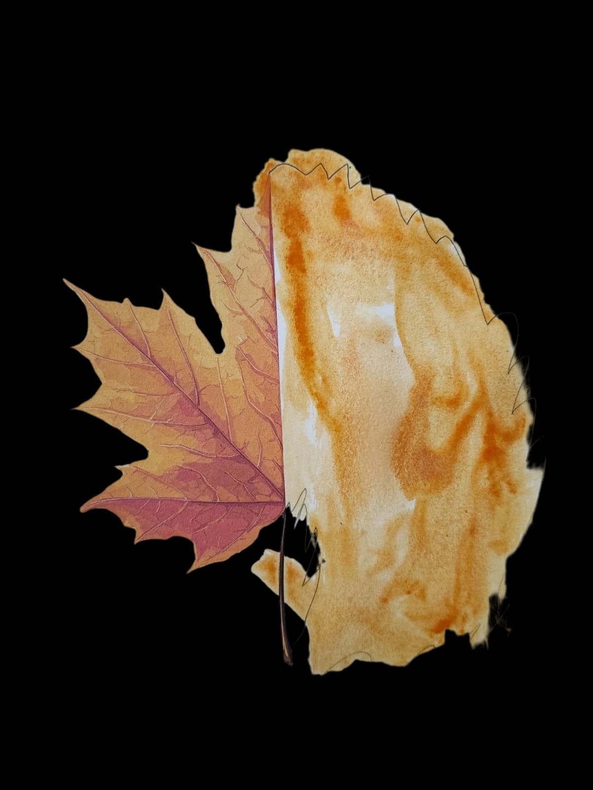Autumn Maple Leaf Symmetry
